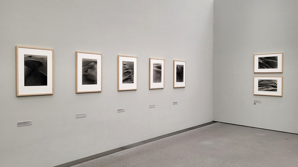 Fotografien von Alfred Ehrhardt in der aktuellen Fotoausstellung Wind, Sand und Wasser in der Pinakothek der Moderne in München