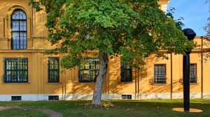 Ausstellung zur Gegenwartskunst im Lenbachhaus in München