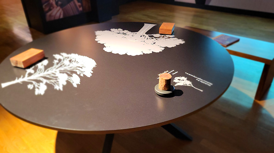Verchiedene Hölzer in der Ausstellung He Toi Ora. Beseelte Kunst der Māori. Auf den Spuren der Schnitzwerke im Museum Fünf Kontinente in München