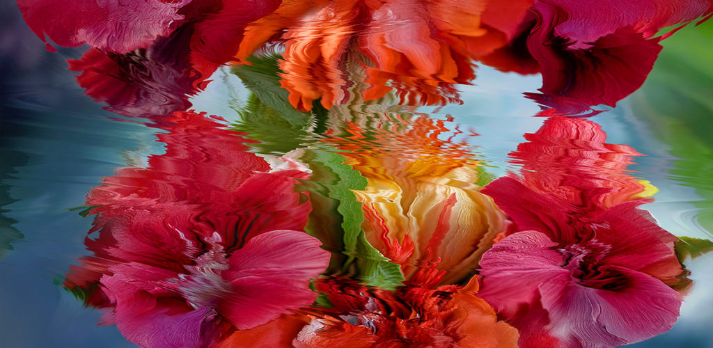 Blumen in der Kunst von Betty Mü in der Ausstellung im Münchner Künstlerhaus