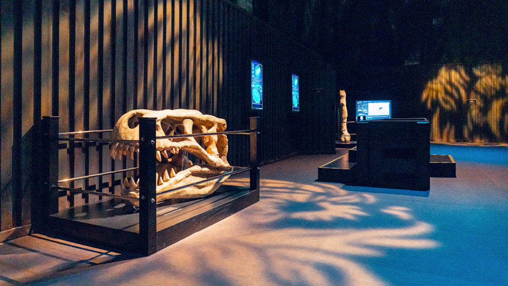 Dinosaurierskelett in der Jurassic World Ausstellung 2026 in der Kleinen Olympiahalle München