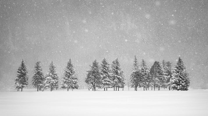 Fotografie in der Ausstellung "Jens Winkler – Preisgekrönte Schwarzweißfotografien" in der Galerie im Rathaus in München-Pasing