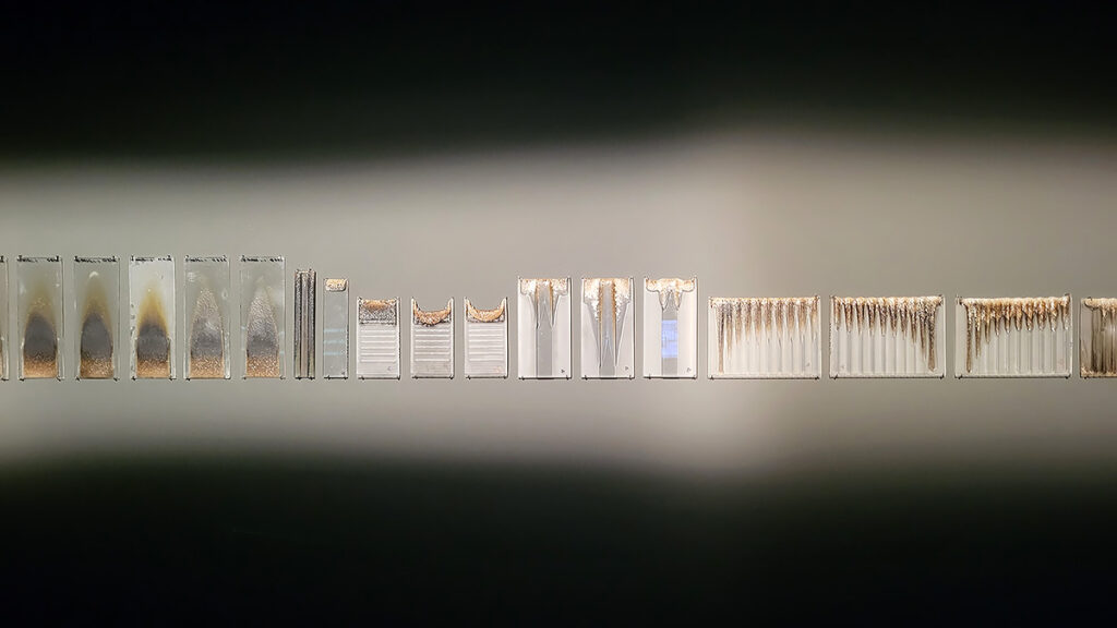 Exponate in der Ausstellung " Franz Wanner - Eingestellte Gegenwarten" in der Städtischen Galerie im Lenbachhaus und dem Kunstbau München