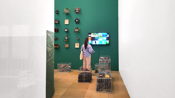 Ausstellung "Tao Schirrmachers Sammlung. Eisbach Treasures" im Haus der Kunst in München